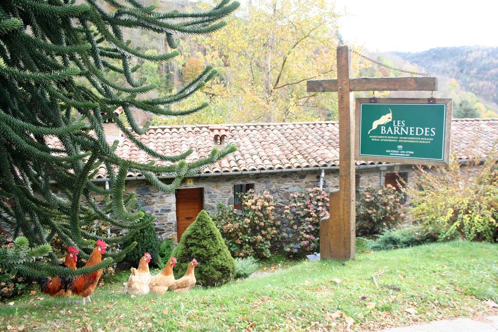 Apartamentos Rurales Les Barnedes Molló Esterno foto